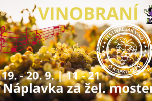 Atlantic Wines - events 2025 - FJV Vinobrani na Naplavce